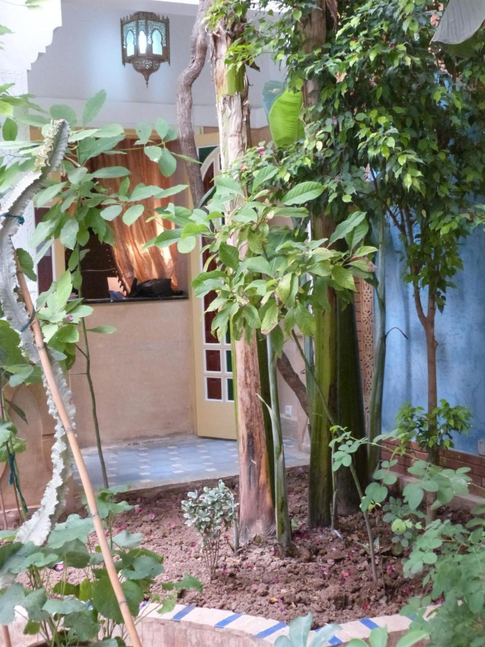 Riad Habib مراكش المظهر الخارجي الصورة